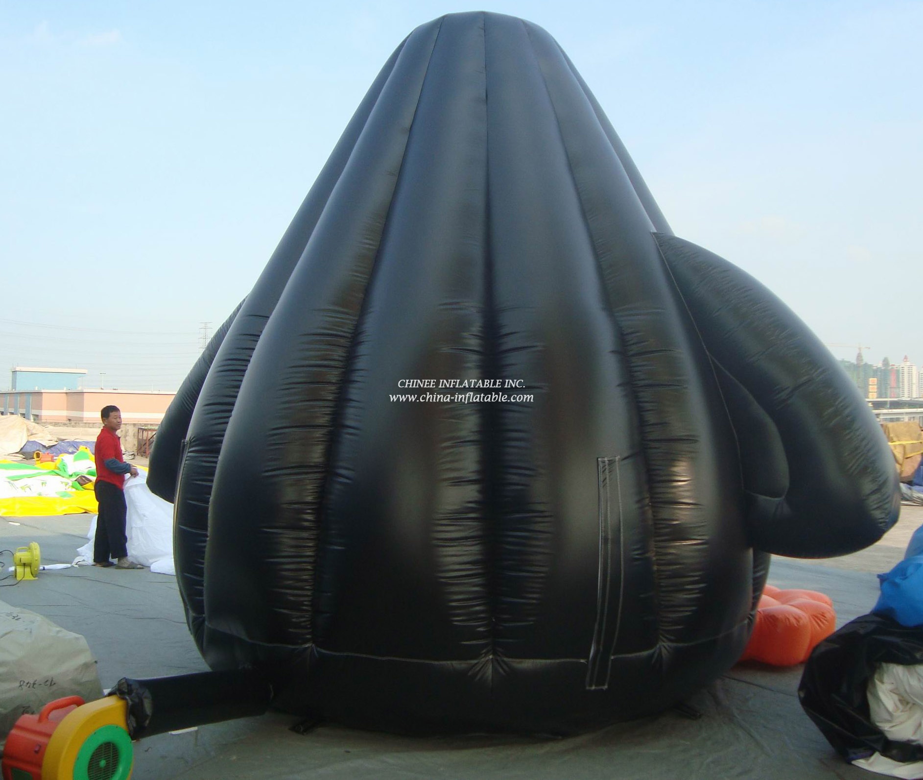 T2-450 Dolphin Inflatable Bouncer