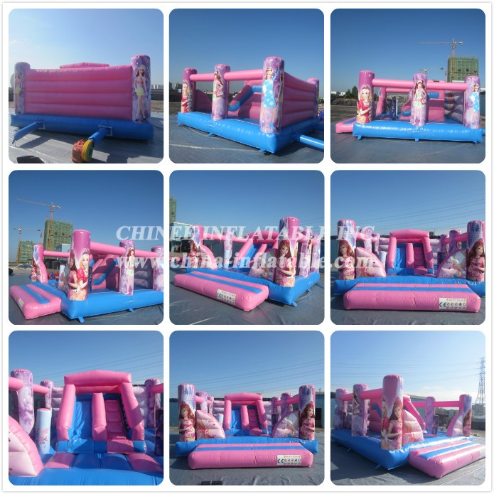 a - Chinee Inflatable Inc.