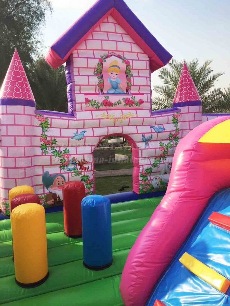 T2-4102 Princess Castle