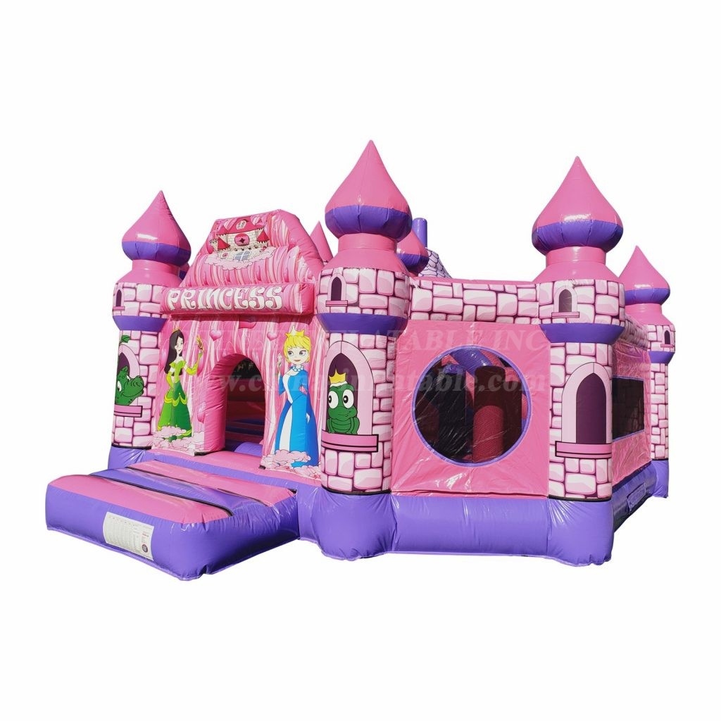 T2-4946 Princess Castle