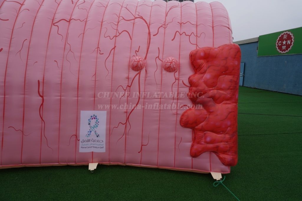 Tent1-441C visceral shape inflatable tent